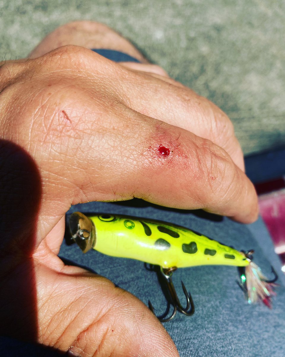 Mike Graham tweet media