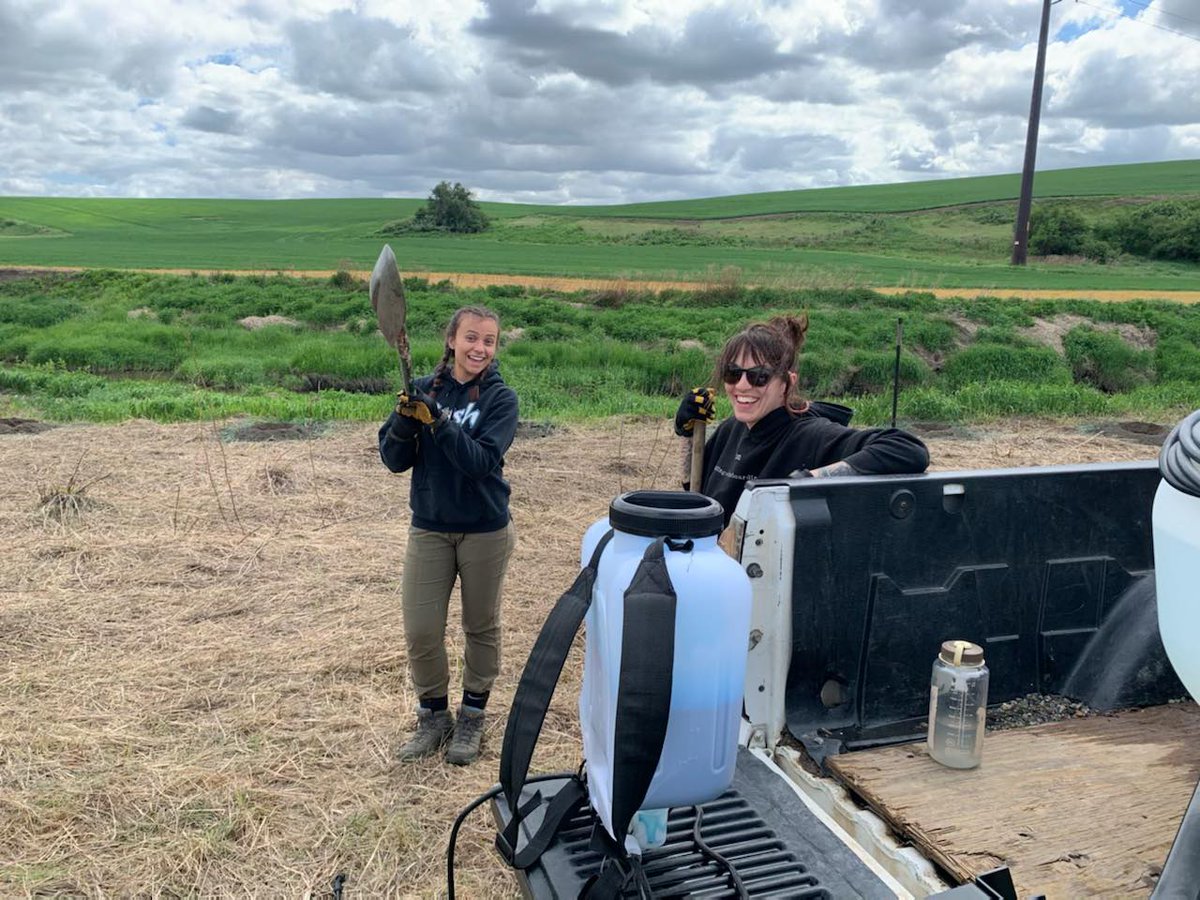 Conservation on the Ground! Our June Newsletter is available now!  - mailchi.mp/6d50fffa9f95/c…