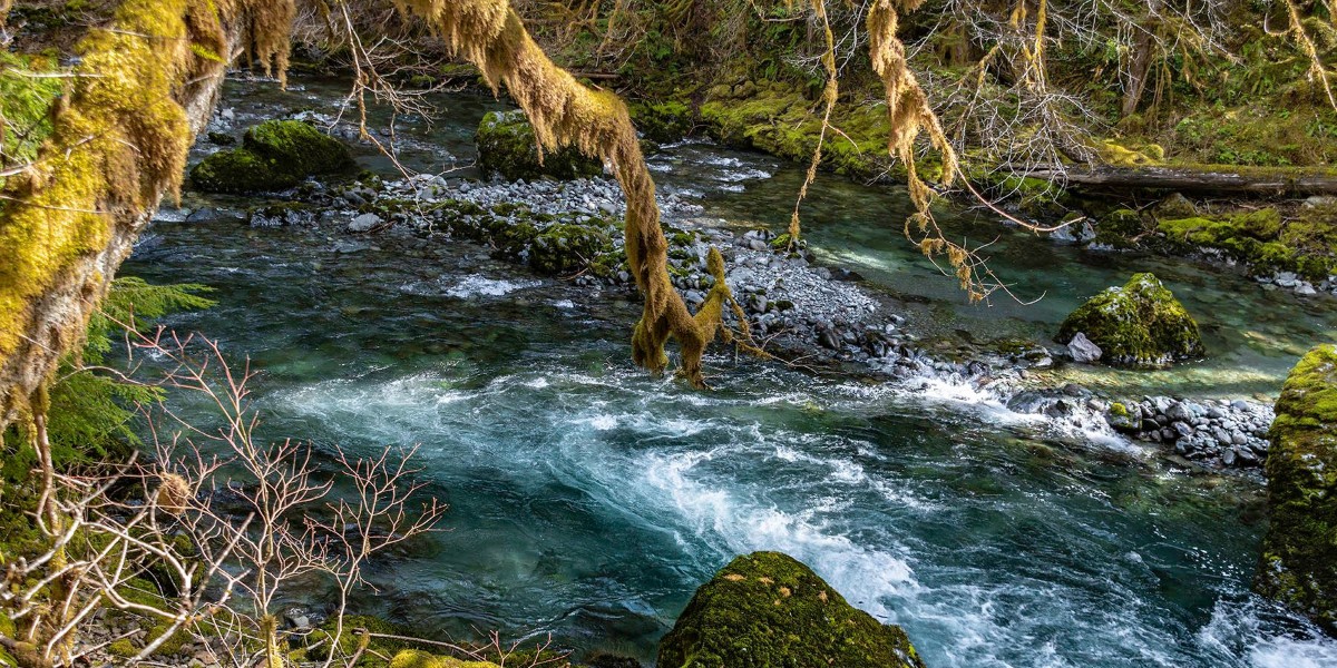 When hiking up the Doosewallips means views like this. 💙 📸: Mountain Tech Harry Christensen #hikingviews #riverview #photooftheday