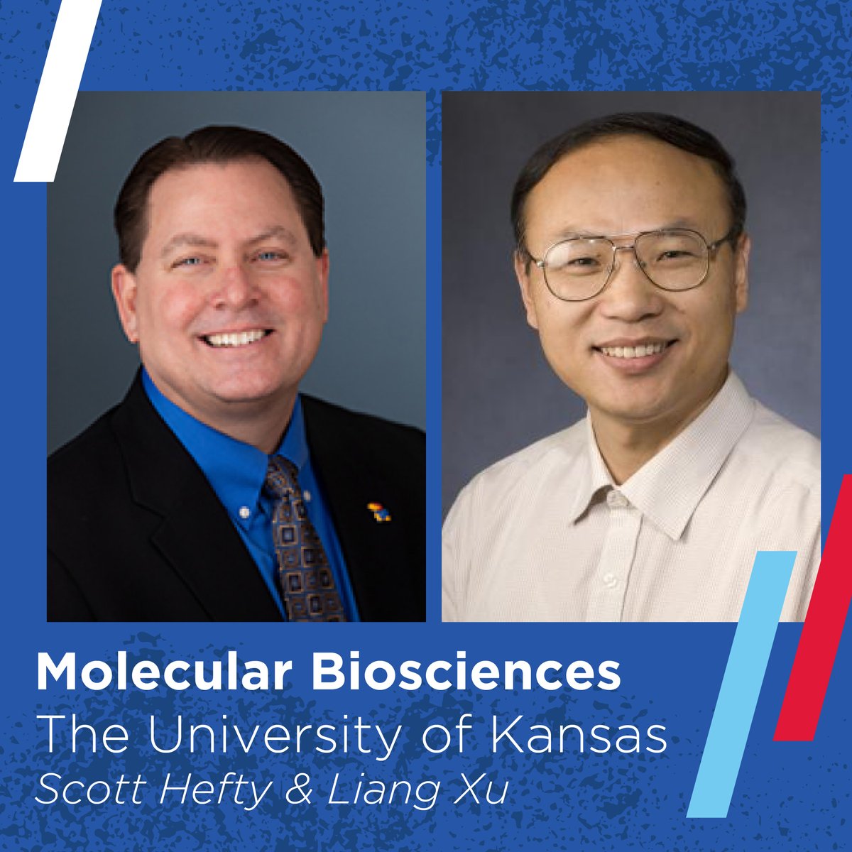 Congrats to <a href="/KUMolBio/">KU Molecular Biosciences</a>'s Scott Hefty &amp; Liang Xu - winners of the 2023 J.R. and Inez Jay Fund research award! An amazing achievement, marking yet another successful step toward groundbreaking research! #KUresearch

news.ku.edu/2023/05/30/ku-…