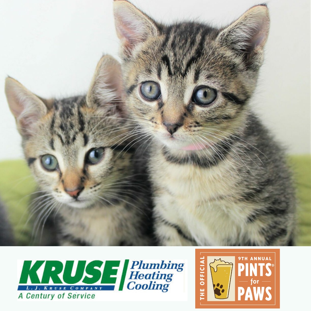 We're Honeybee & Bumblee, buzzing with thanks for Kruse Plumbing sponsoring Pints for Paws! Tix still available to this Saturday's beer festival! l8r.it/k3d5 #PintsForPaws #dogsandbeer #dogs #berkeley #dogfriendly #craftbeer #fundraiser #berkeleyhumane #adoptdontshop