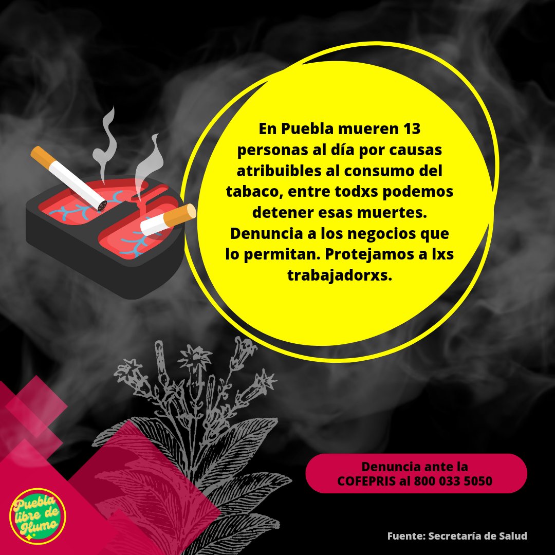 PueblasinHumo's tweet photo. Hoy se conmemora el #DíaMundialSinTabaco 🚭. Recordemos que en México la Ley de protección ante el humo del tabaco establece que está prohibido fumar en parques, playas, oficinas y cualquier lugar de convivencia pública 🏖️🏟️. Las multas pueden ir desde los 10 mil 374 pesos 💰😬. https://t.co/wgAAZ5ipx9