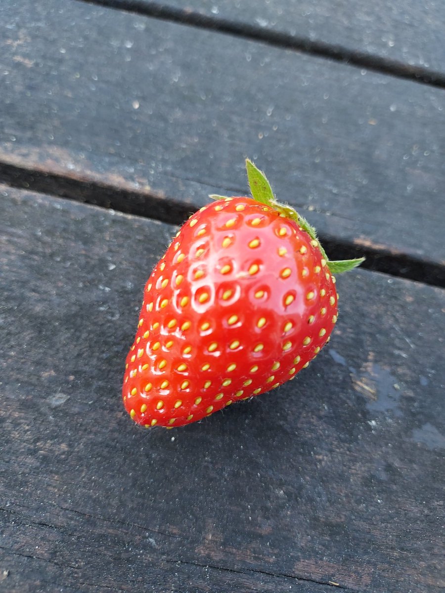 Su-Ming Khoo @sumingkhoo@mastodon.social tweet media