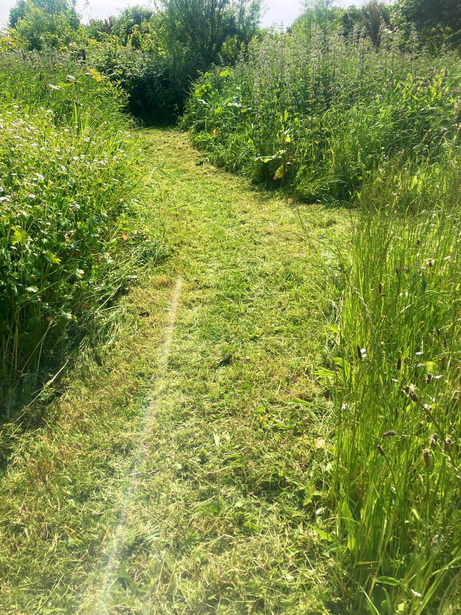 Andrea (@b4biodiversity) on Twitter photo Unmown and pleasures <a href="/fordlanegarden/">Ford Lane Garden</a> this month - carefully planned pathway access for community gardening and canoe club making way for the dozens of bee, butterfly, hoverfly and bird species that rely on habitat and foraging ๐ Unmown and pleasures <a href="/fordlanegarden/">Ford Lane Garden</a> this month - carefully planned pathway access for community gardening and canoe club making way for the dozens of bee, butterfly, hoverfly and bird species that rely on habitat and foraging ๐