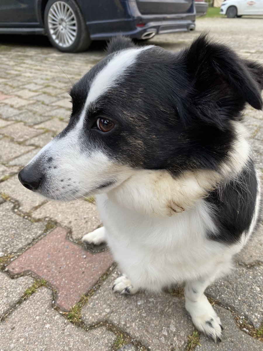 Yooooo bulaşmadı ki çamura