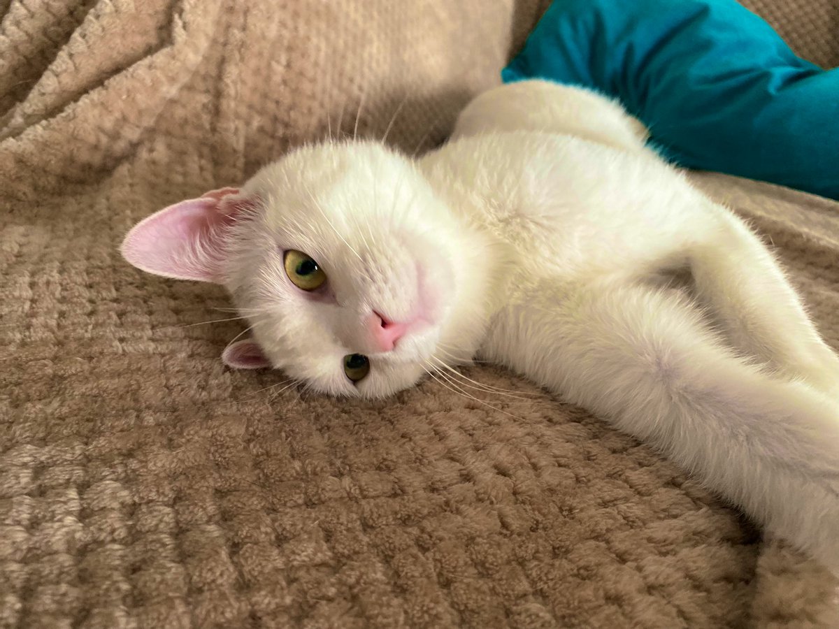 xtingdd's tweet image. 