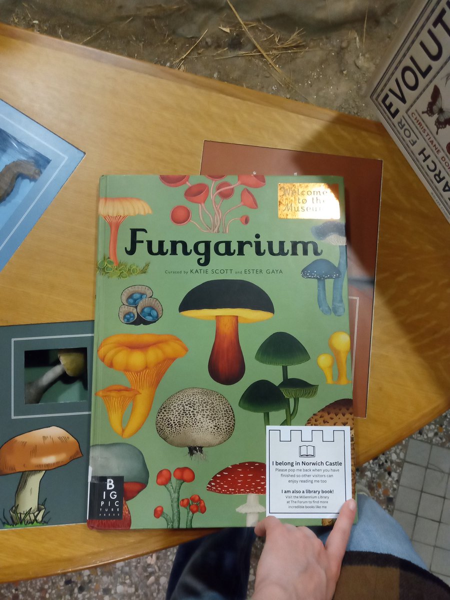 Bea Atkinson tweet media