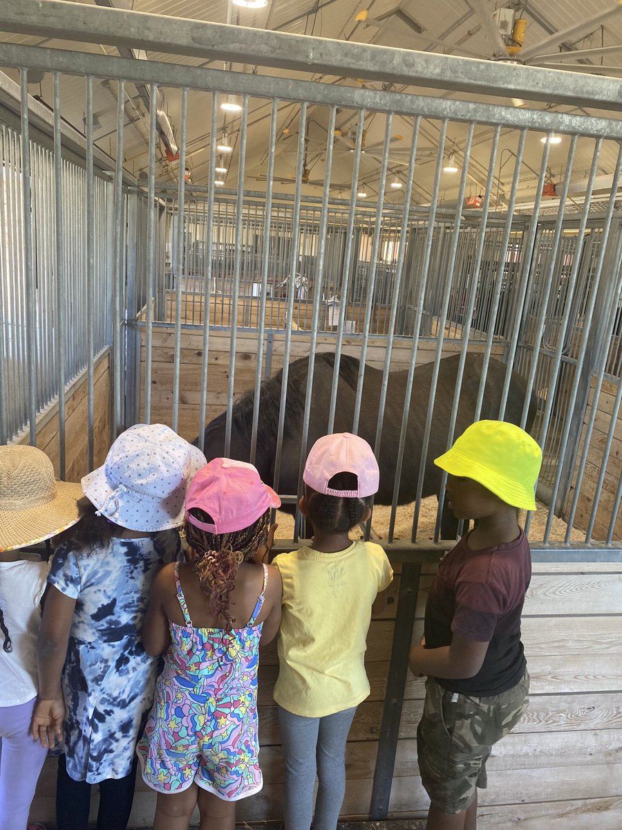 2022Kpb's tweet photo. What a successful field trip! 🐑🐓🐄 https://t.co/f1khao4JsR