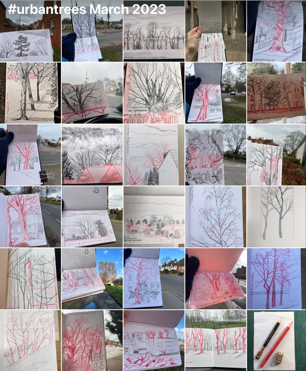 I’m pleased to be able to share my #urbantrees sketching on the #naturejournallingweek blog naturejournalingweek.com/blogs/sketchin… @DrawnIntoNature