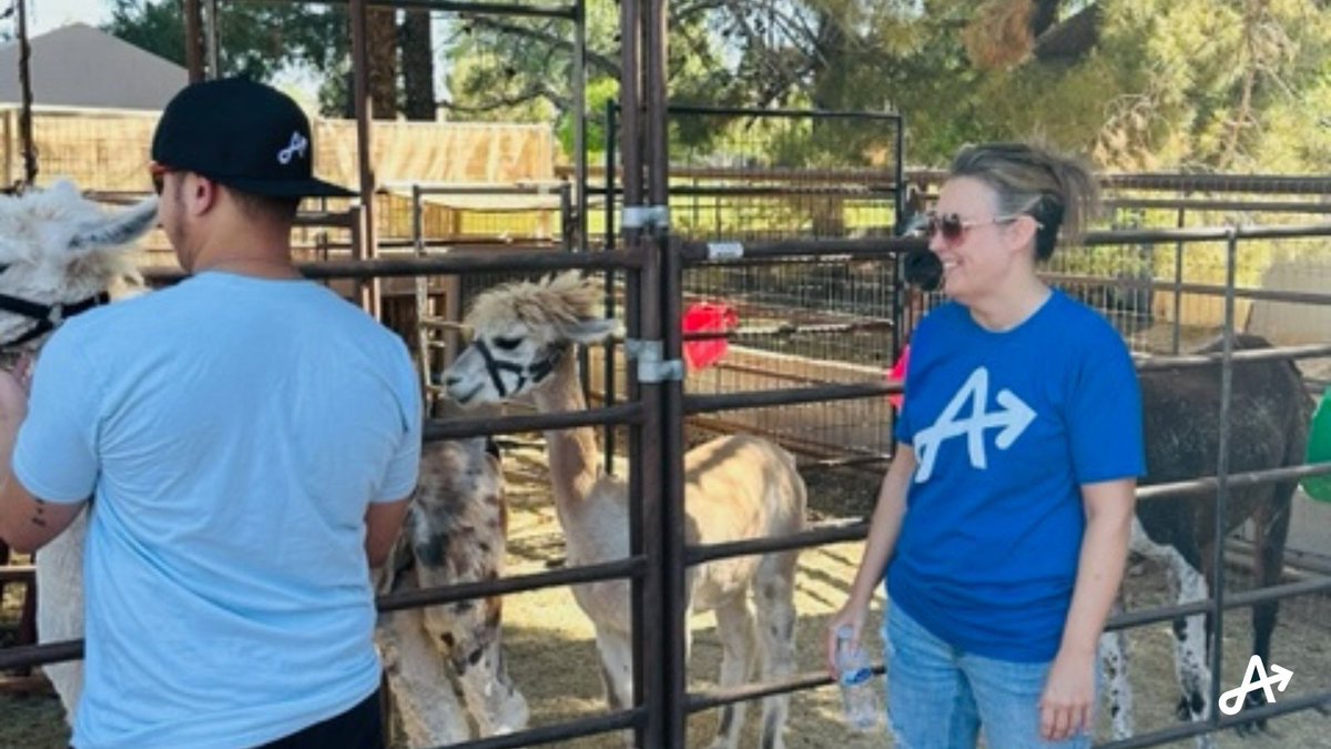 Our Heroes ERG had a llamazing time #supportingveterans at the @operationshockwave Alpaca your Trauma event. Walking alongside the calm temperament of alpacas & llamas help veterans reduce emotional struggles with a peaceful outdoor walk. #weareachieve #militarymentalhealth
