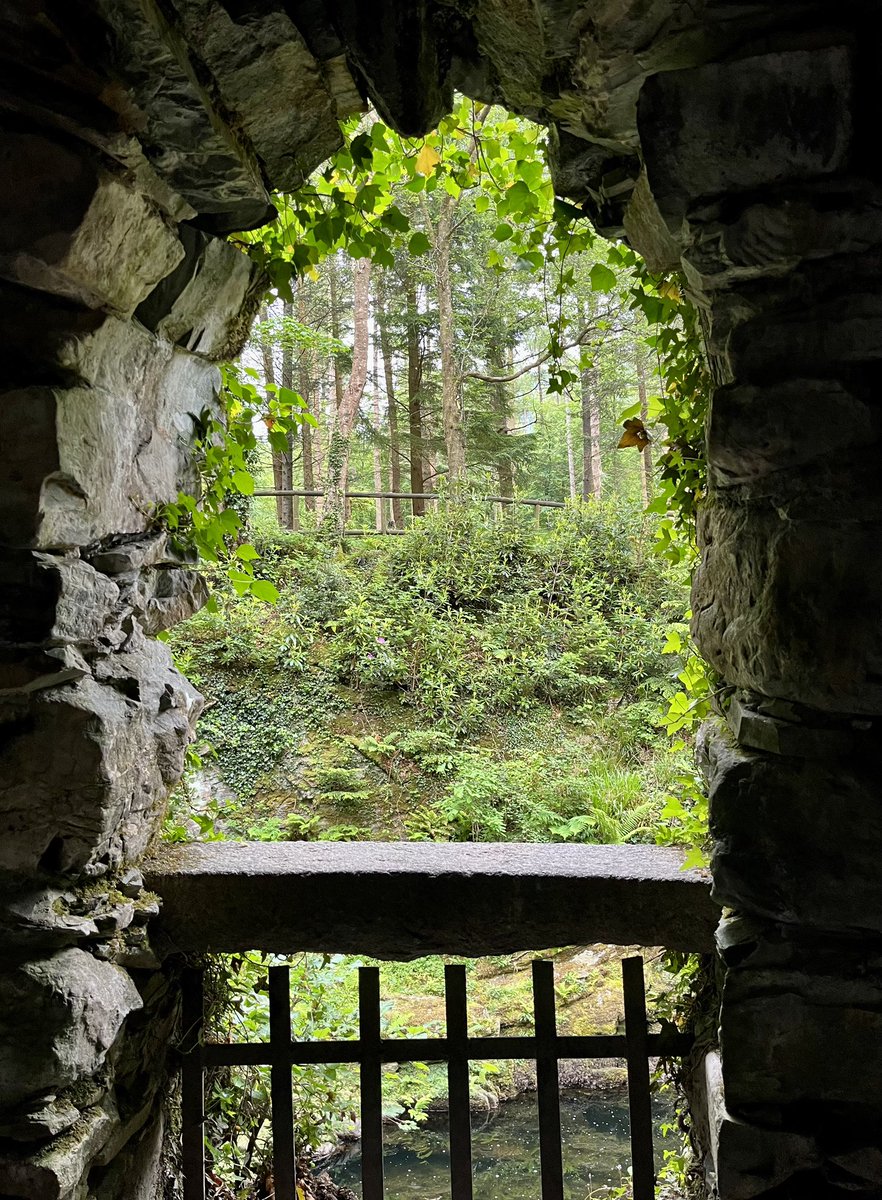 Tollymore forest with stone walls and gates 🤩