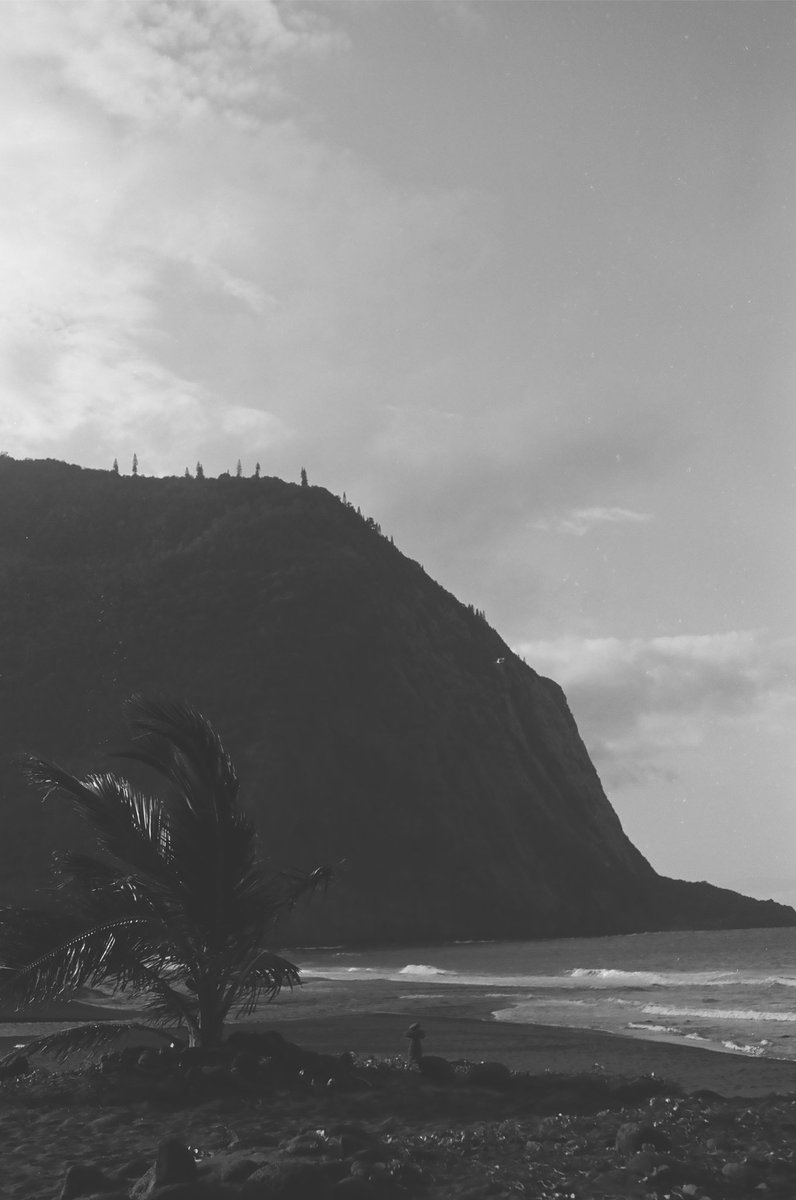 Katharine Kollman tweet media