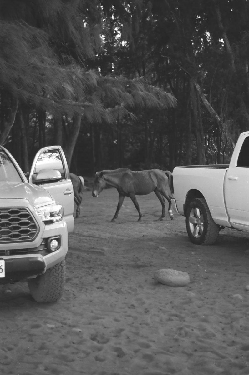 Katharine Kollman tweet media