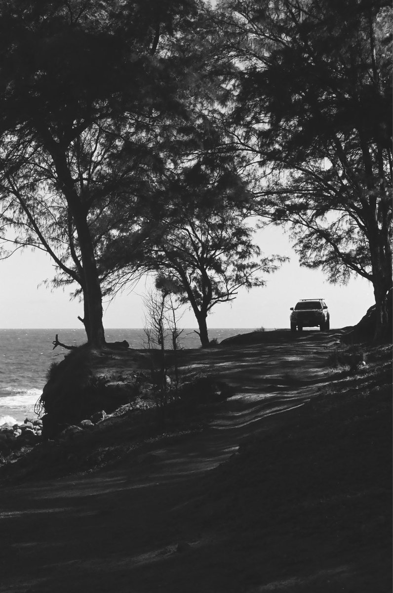 Katharine Kollman tweet media