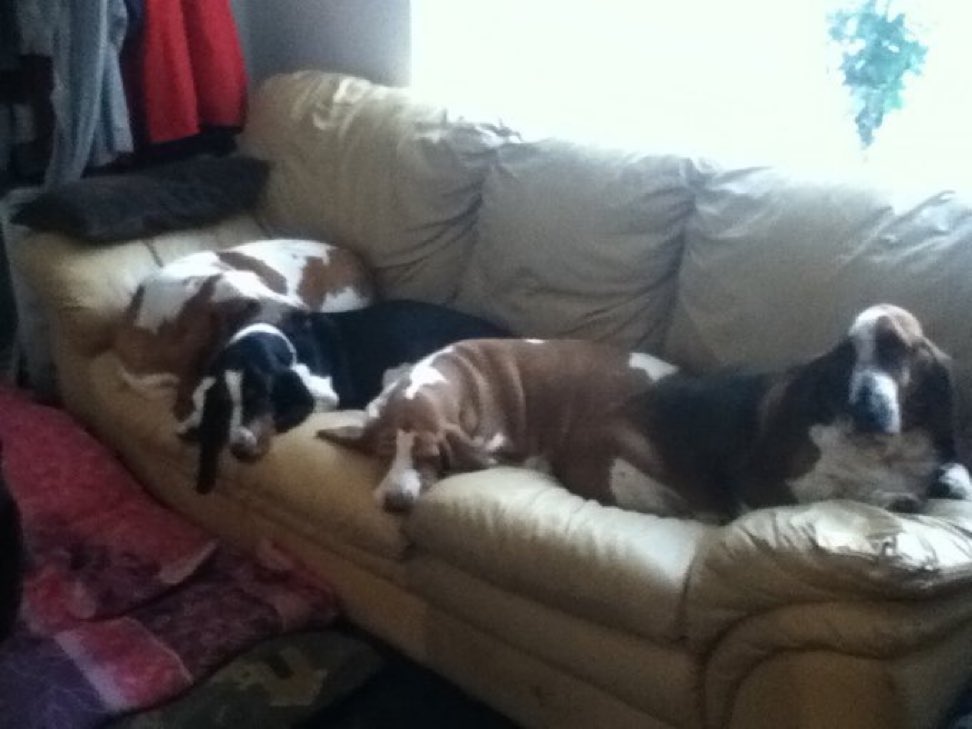 Phil Sledge tweet media