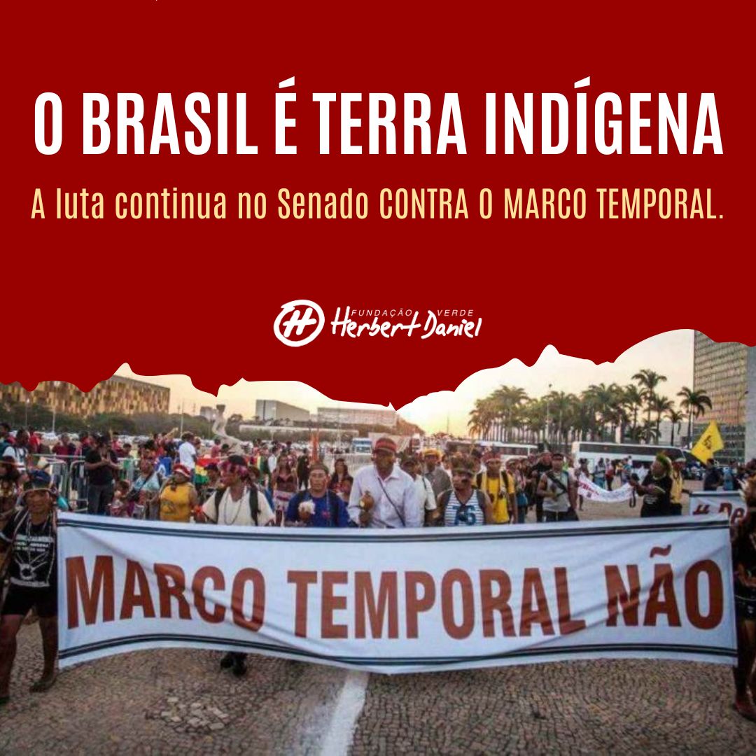 Fundação Verde Herbert Daniel tweet media