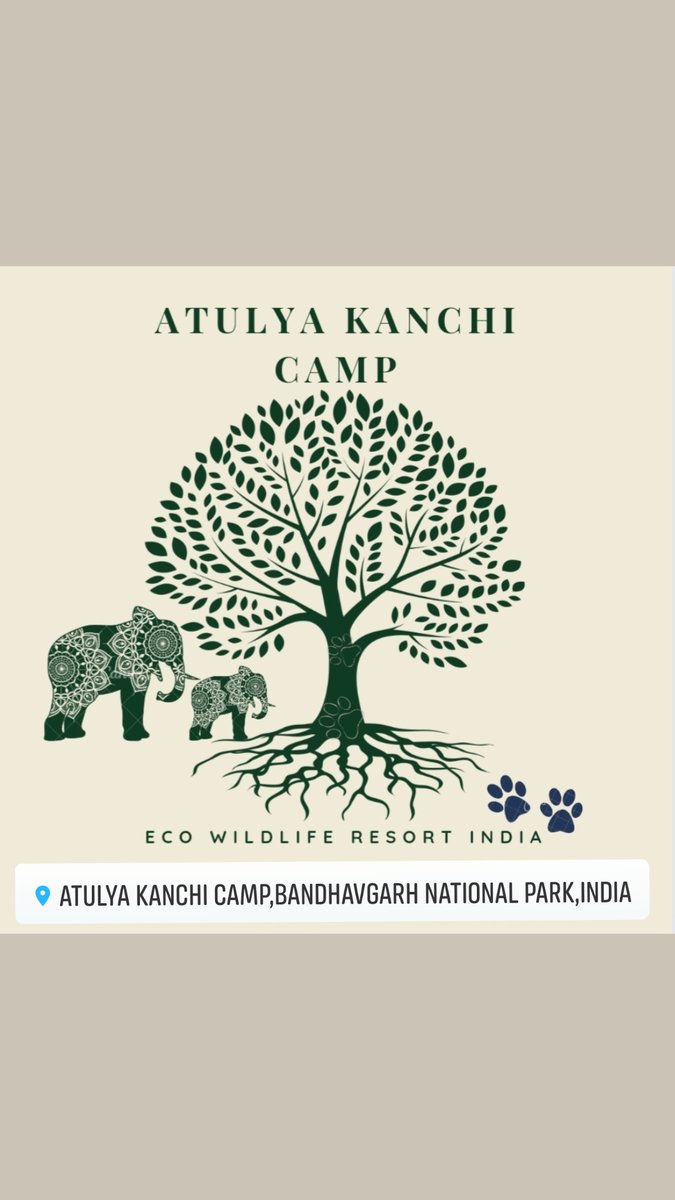 atulyacamp's tweet photo. @atulyacamp @neerajtrav @MPTourism @Way_To_India @TofTigersIndia @incredibleindia @CNNTravel @NGTIndia @BBC_Travel @BandhavgarhTig2 https://t.co/BMPT0RxJlY