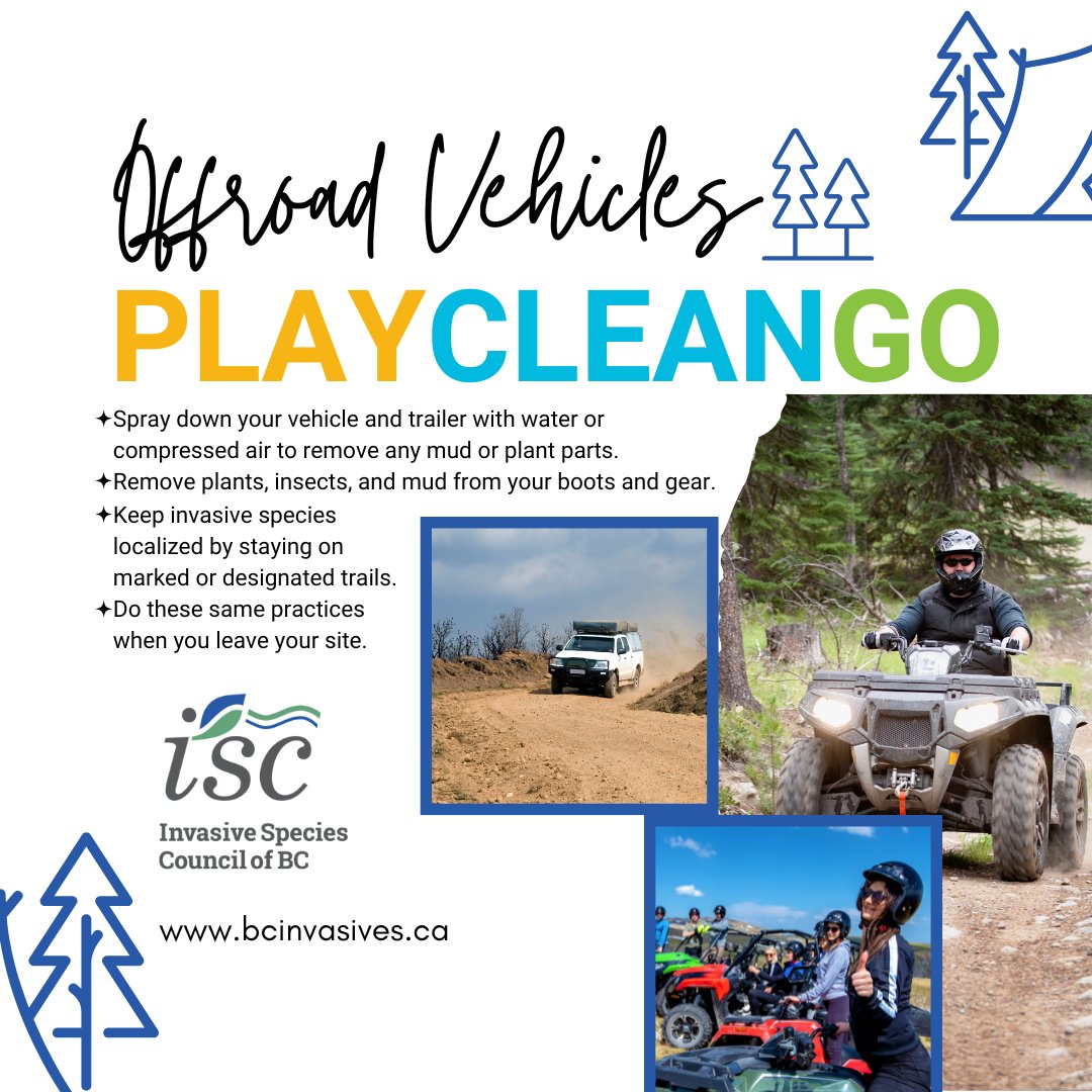 ISCBC's tweet image. 🚙 Are you an offroad enthusiast who loves exploring nature? Follow these PlayCleanGo practices to ensure we keep our trails clean and protect our beautiful surroundings.

Learn more about #PlayCleanGo practices here: bcinvasives.ca/play-your-part…

#PlayCleanGoWeek @PlayCleanGo