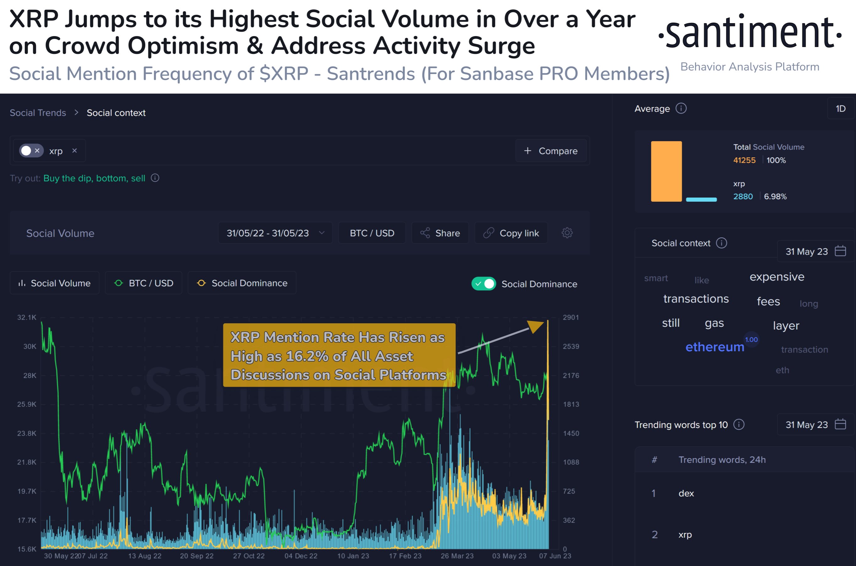  xrp data around hype surged dominance social 