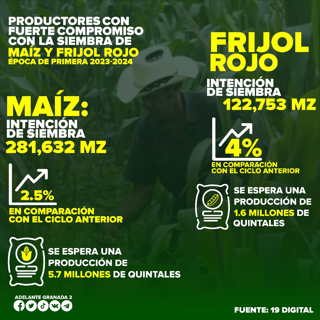 Buenos días amigos y amigas antimperialistas. Productores de Nicaragua con altas metas de producción de Maíz 🌽 y de Frijol Rojo, para la cosecha de primera. Cuentan con todo el respaldo del gobierno del Cmdte Daniel Ortega Presidente. #MadresGranAmor #PLOMO19