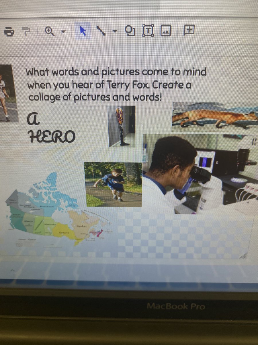 Since starting their support of the Terry Fox Run (<a href="/TerryFoxCanada/">Terry Fox Foundation</a>) decades ago, #HDSB schools have now raised more than a total of $5 million for cancer research. The total raised by our schools in the 2022 #TerryFox runs was $$225,280.06. #HDSBcares