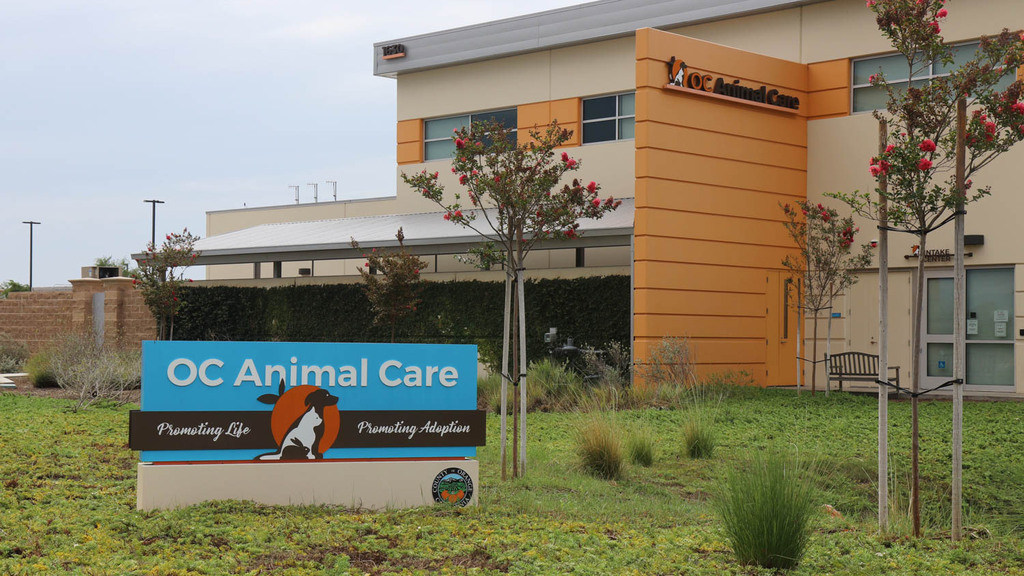 AnaheimSigns's tweet photo. Head of OC Animal Care Steps Down as Activists Fight for Open Shelter Policies via /r/orangecounty https://t.co/wtvmgrrdWN #AnaheimSigns https://t.co/C3kxTtsTdf
