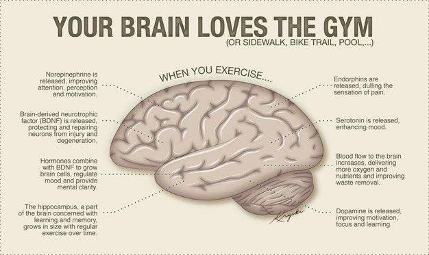 Do you have a date with the gym today? How about a brisk walk, bike ride or swim in a refreshing pool? Trust us, your Brain will thank you!!  #brainhealth #healthybrain #brainbody #brainon #peakperformance #brainperformance #vitanyabrainperformance