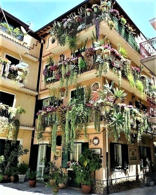 Greenisamissio1's tweet photo. Night thoughts 
My tweet about the "vertical forest" has sparked a lively discussion. I am not interested in costly projects but in greener cities. It can also be smaller, e.g. with the House of Succulents in Italy. Everyone can contribute to green cities.💚☘️🌿🌲🌳🌱🍀💚 https://t.co/iDESQrs7FF
