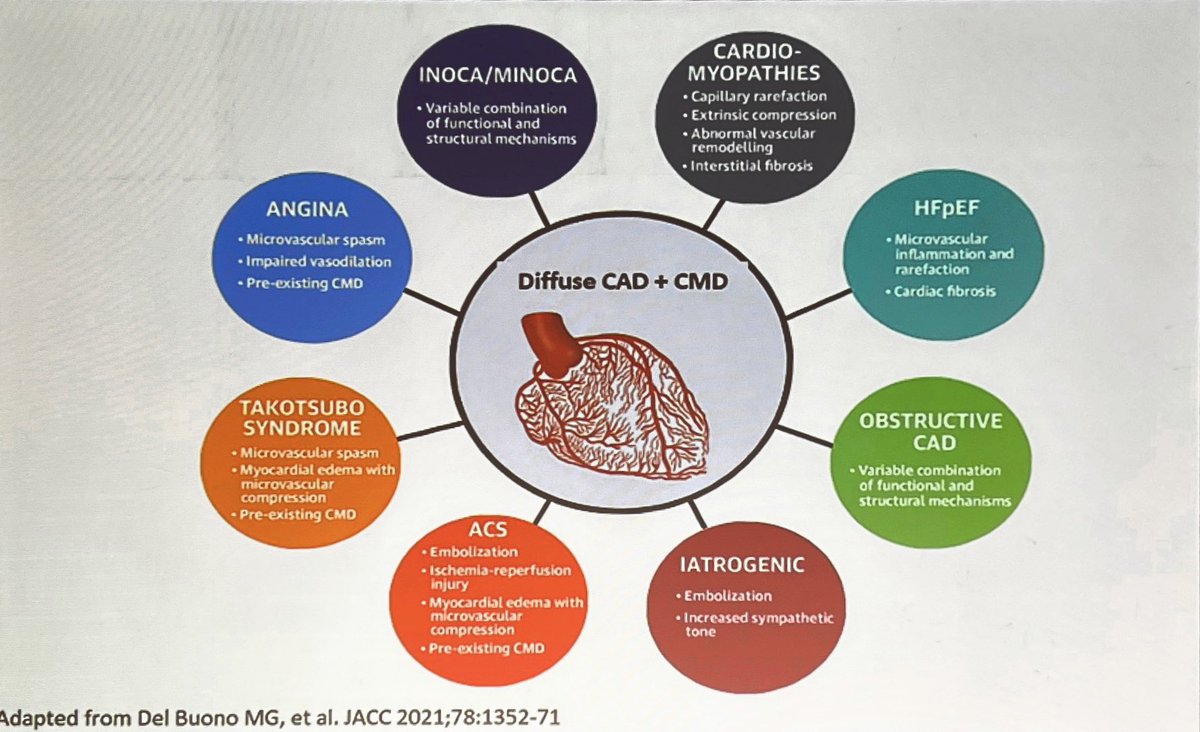 ‼️Stay alert : many patients keep symptoms because of non obstructive CAD ! Functional data are instrumental in these cases ! @mdicarli @BrunoLimaMDPhD @estelais @rafaelnuclear @DorbalaSharmila @MyASNC @krishnapatel888 @fjpinto1960 #FAC2023