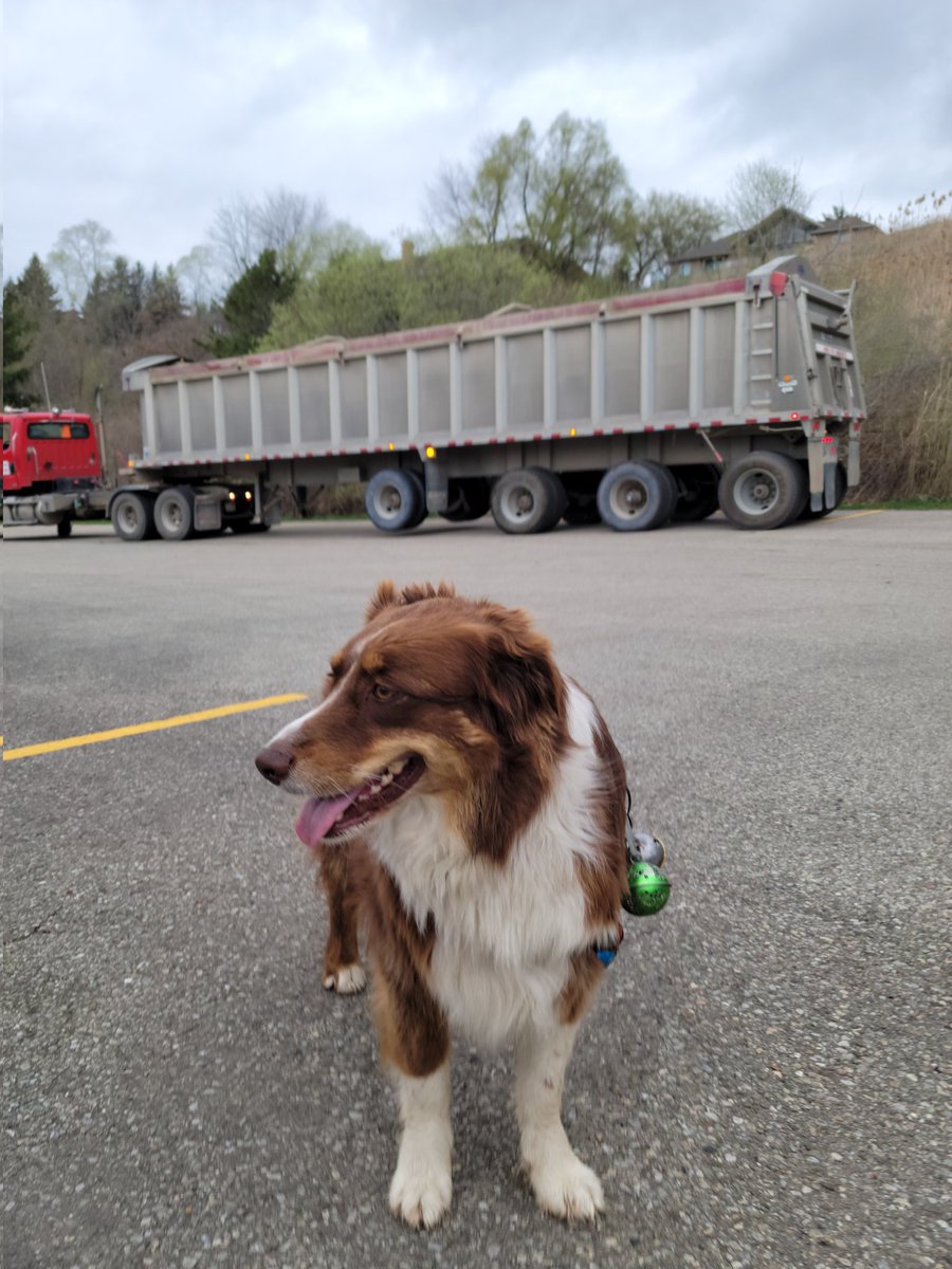 EdgeSuper1's tweet photo. @JDC_Turf Boo says great service https://t.co/oD00u5vhmm