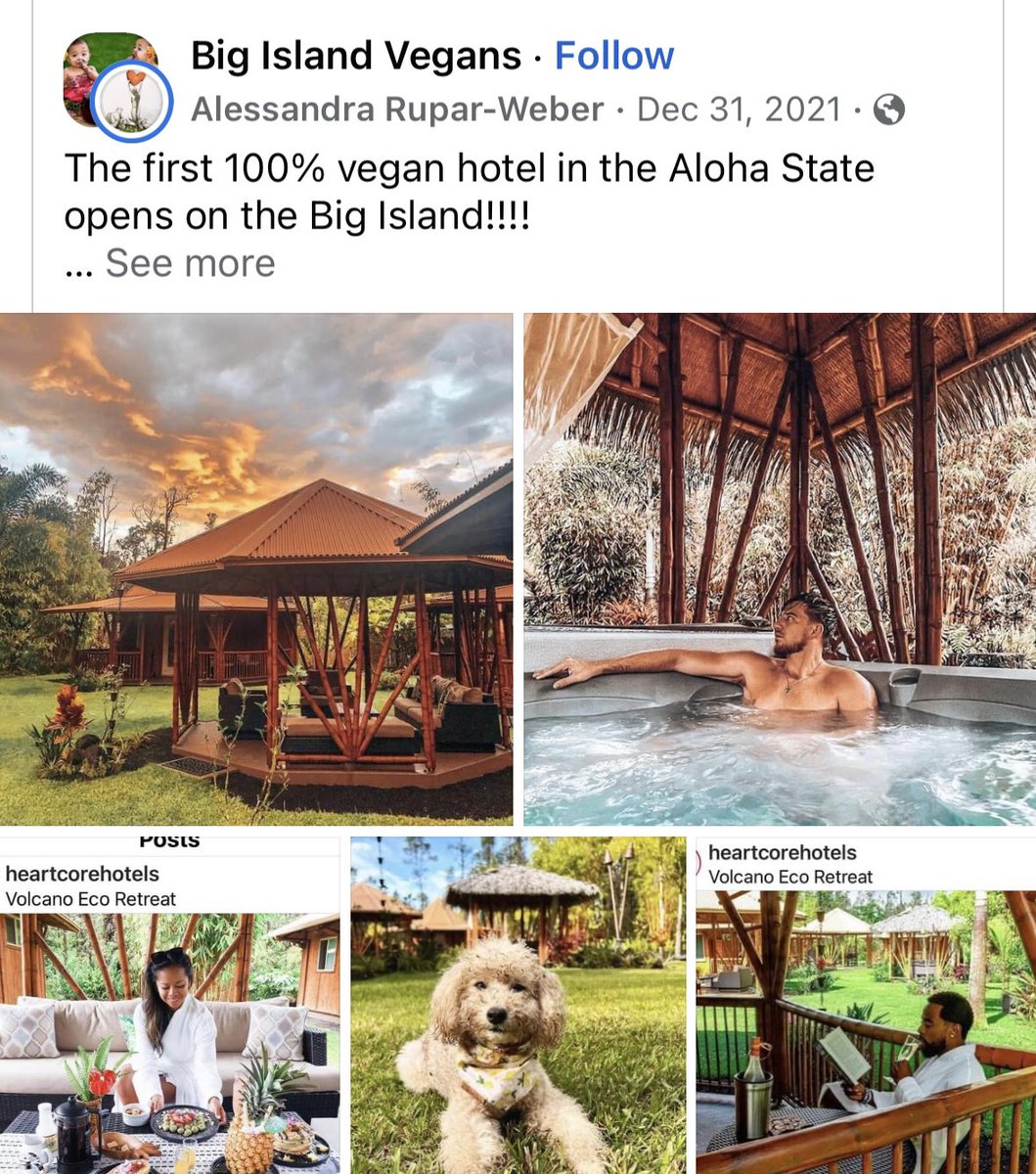 Heart Core ♡ Hotels Full Of Heart tweet media