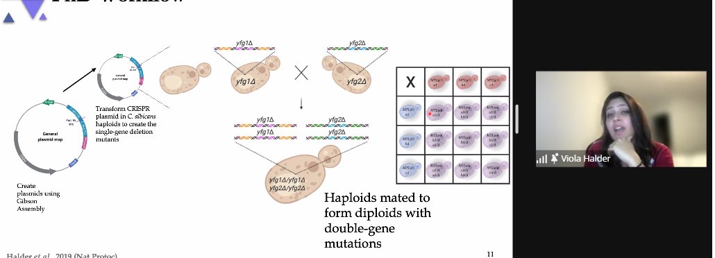 EvoFunPath <a href="/evofunpath/">@EvoFunPath</a> session kicks off with <a href="/ViolaHalder/">Viola</a> talking about genetic interaction studies in stress response genes in Candida albicans