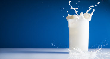 Talking dairy farming ahead of World Milk Day. The Food and Agriculture Organisation of the United Nations established June 1 World Milk Day in 2001 to recognize the importance of milk as a global food, and to celebrate the dairy sector: farms.com/ag-industry-ne…