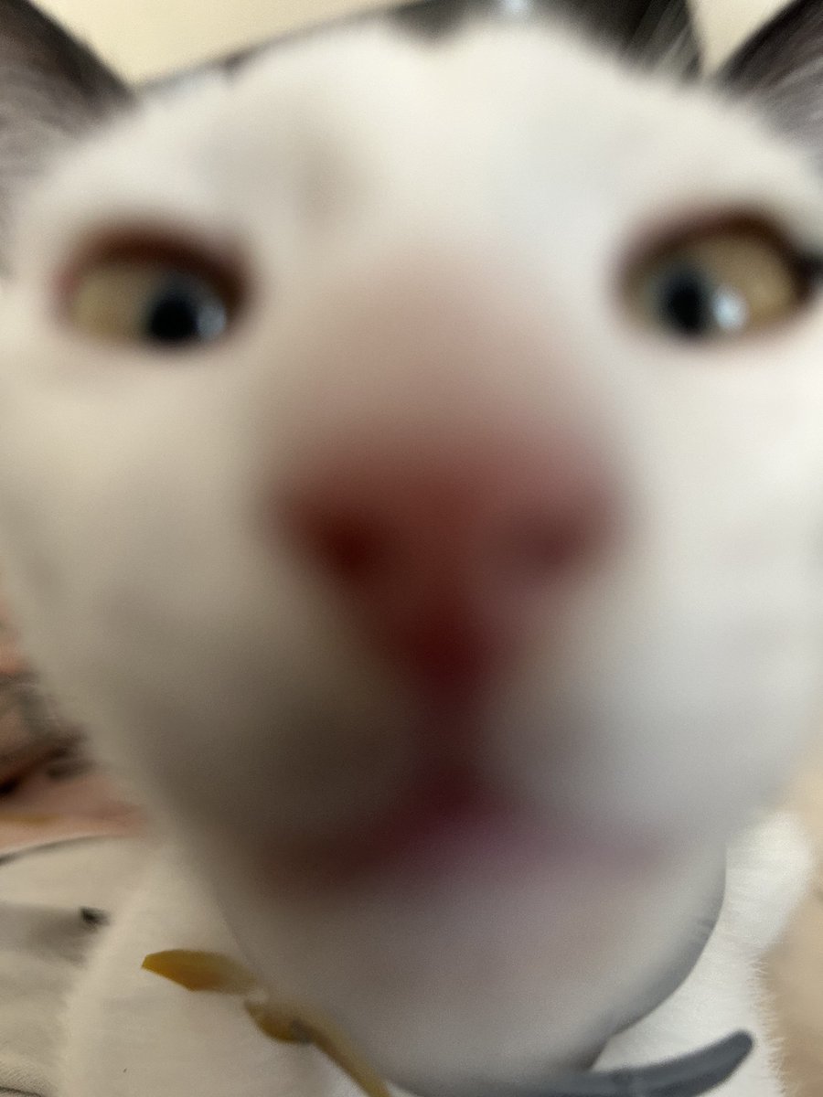 Benim adım Labne, boyum 1.10. Birkaç gün bu hesabın edmini benim