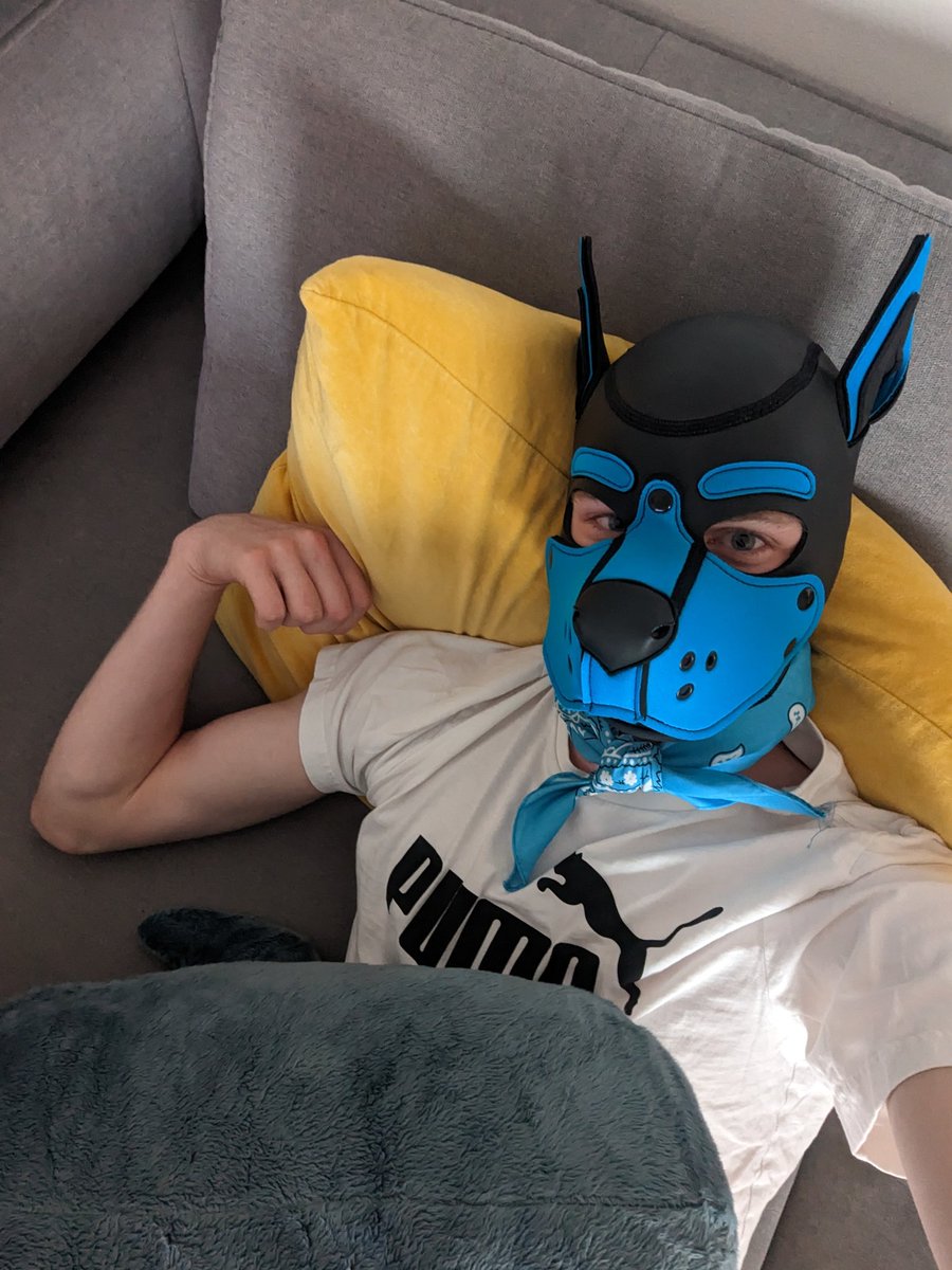 WildPup_Leo's tweet photo. Anyone want to cuddle? There's still same space next to me 😊

#puppy #puppyppay #pupplay #petplay https://t.co/9Mwe2MdInv