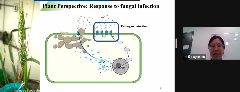 Boyan Liu from <a href="/JGMProteomics/">Dr. Jennifer Geddes-McAlister</a> lab is using proteomics to understand Fusarium resistant and susceptible wheat cultivars