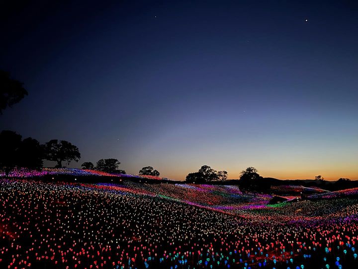 "We were transported to a world of imagination through the senses during our visit," says Cara. Come to Sensorio – now featuring two newly added exhibits – and experience our serene outdoor adventure that's bigger than ever before. Plan your trip today at sensoriopaso.com.