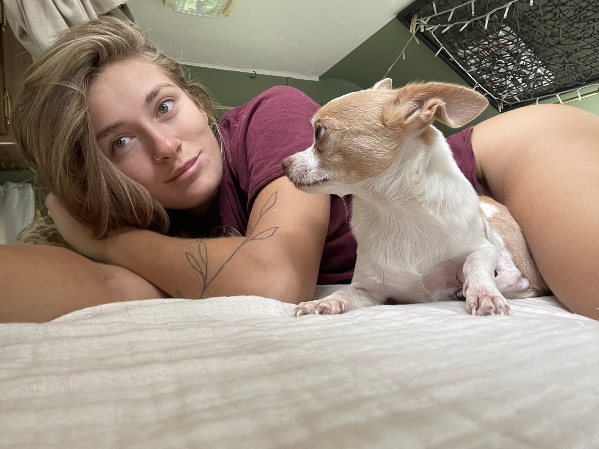 LilaLemo's tweet photo. Morning kisses/eating my brain is one of Alvin’s favorite part of the day🫦🤦🏼‍♀️🤪

#vanlife #camperlife #nomad #chihuahu #chihuahuaasshole #morningkisses #slowmornings #happyinthismoment #content #smalldog #doglifeinthecamper #happydog #healthydog #loveddog https://t.co/IdNJIBKZnV
