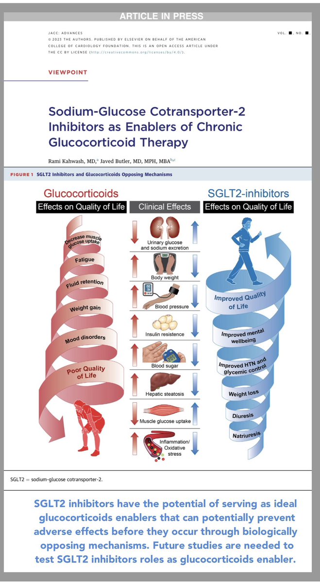 SGLTI2i as Enablers of Chronic
Glucocorticoid Therapy. 🌁🌁

Viewpoint: Rami Kahwash & Javed Butler @JACCJournals in 1 slide 🛝 
c
@FH_Verbrugge @S_NarayanMD @hhuang123 @mspartalis5 @lFa1d @Ahmed43101178 @KSharmaMD @HanCardiomd @iamritu @Hragy @rafavidalperez