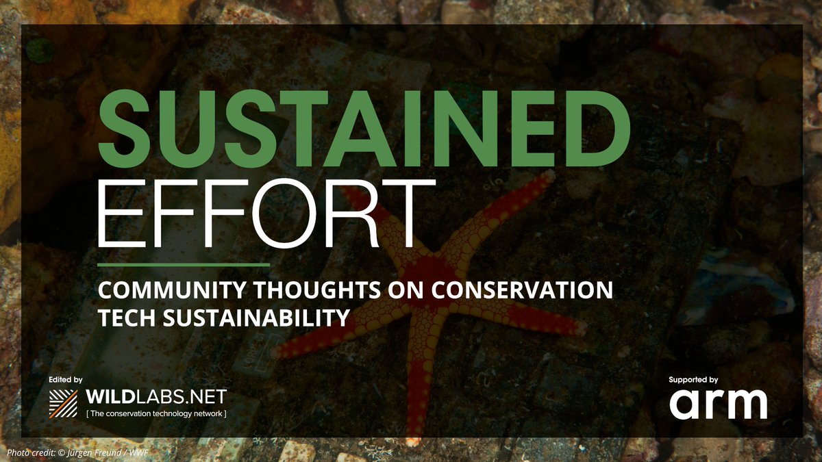 We're proud to introduce Sustained Effort, an editorial series gathering a collection of community thoughts on the future of sustainability in the conservation technology field. 

Download this full #tech4wildlife series now on WILDLABS:
wildlabs.net/article/downlo…
