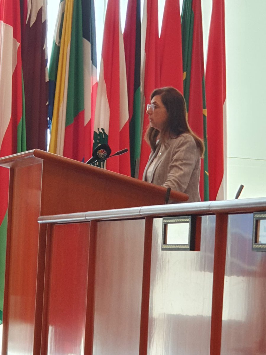 UNESCWA's tweet photo. “Climate financing in the #Arab region isn't sufficient; we need to improve both the quantity and the quality of those funds,” said @EscwaES Rola Dashti during the Arab Conference on Cooperation on #ClimateChange hosted by the #AFESD. https://t.co/PgnKLhRx6E