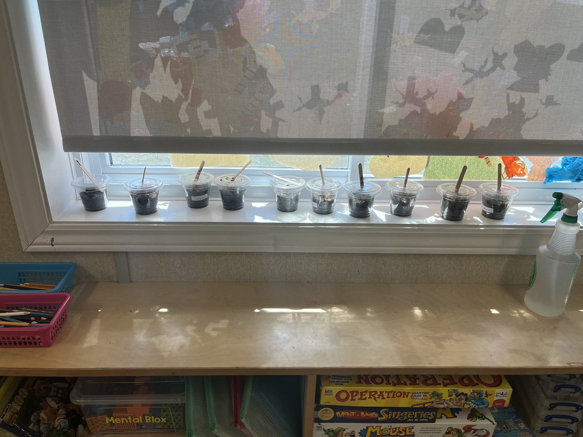 Mme Bailey tweet media