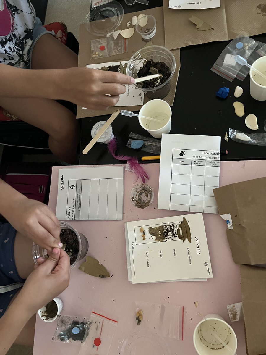 Mme Bailey tweet media