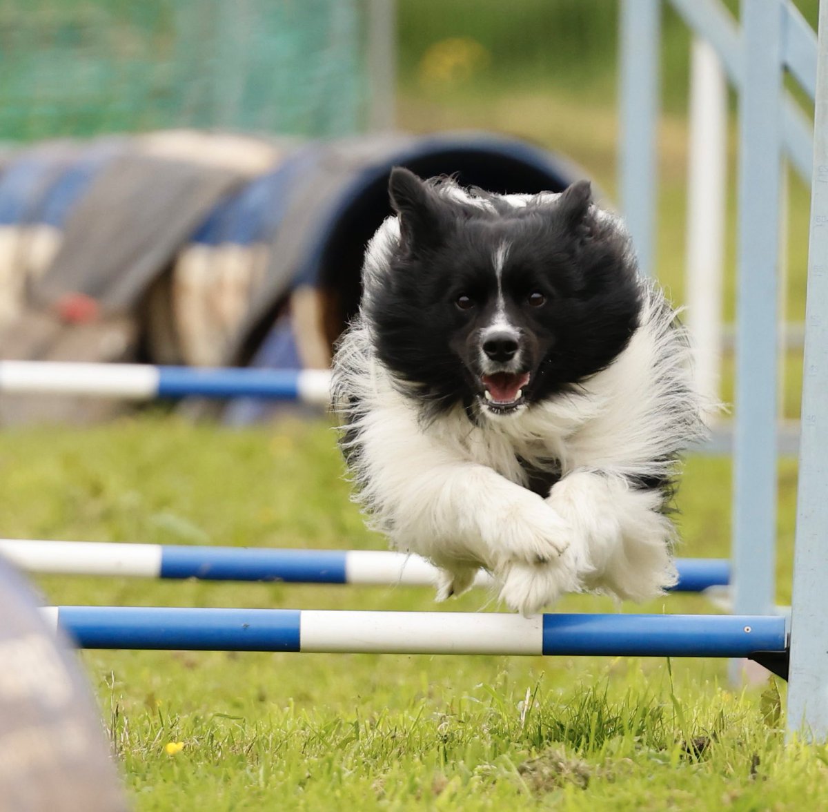 Alison Keys tweet media