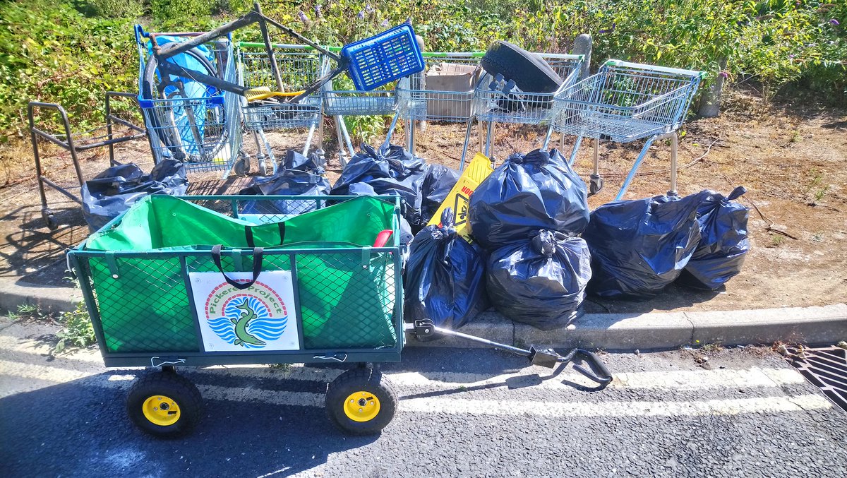 PickerelProject's tweet image. June Clean-Up will be happening soon. From 10am on Sunday 4th at our meeting point by the river at Navigation Approach bridge. We'll also be carrying out an invertebrates survey - and using our new bigger identification chart for the first time. What might we find?