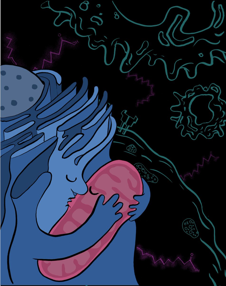 A thread of commission illustrations that I have done in recent years. 

Mostly journal cover submissions and PhD thesis cover illustrations.  Some prettier than others but often involving me having to learn a little bit more science in the process.

#1 the metabolic kiss