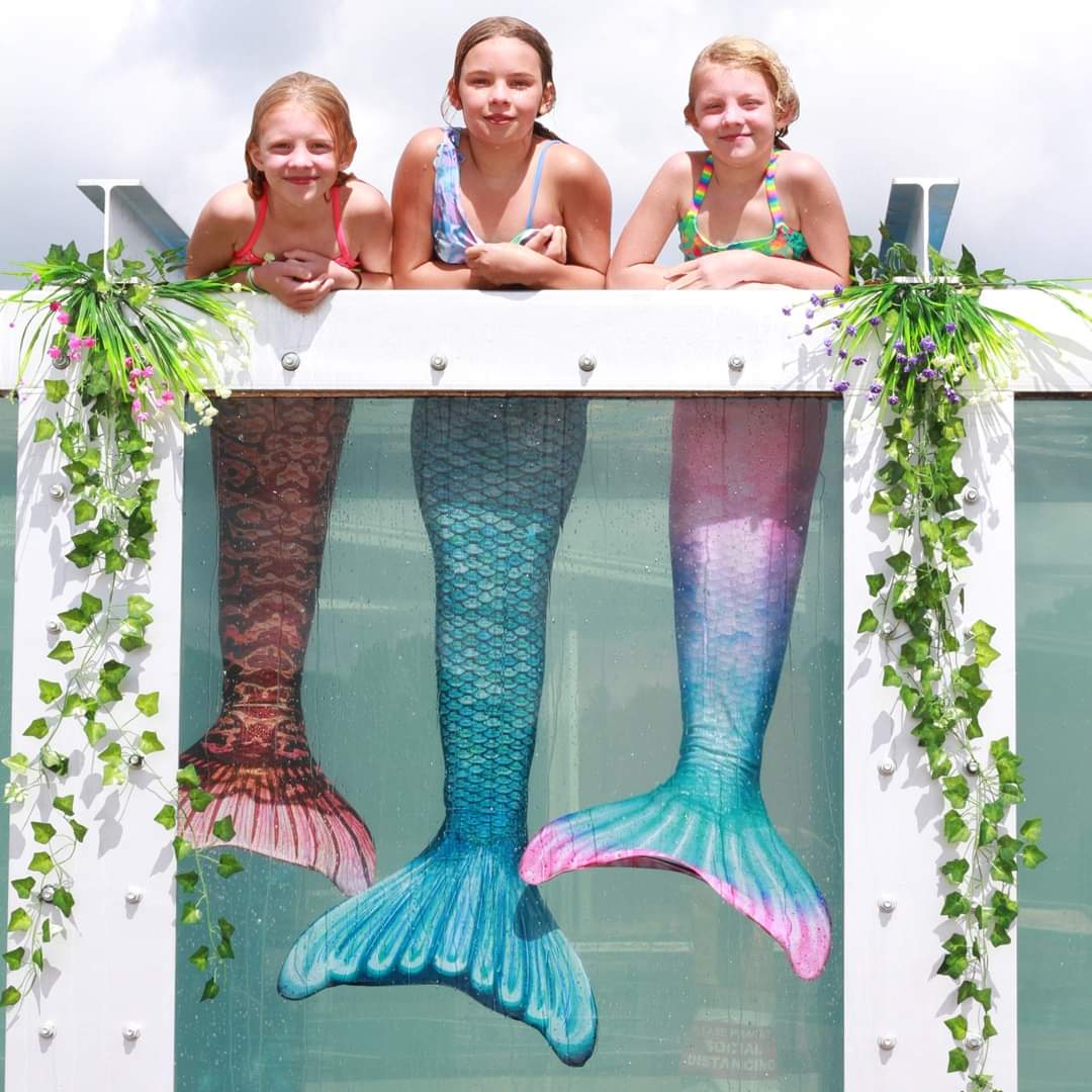 Merm𝔸𝔻𝔸 tweet media