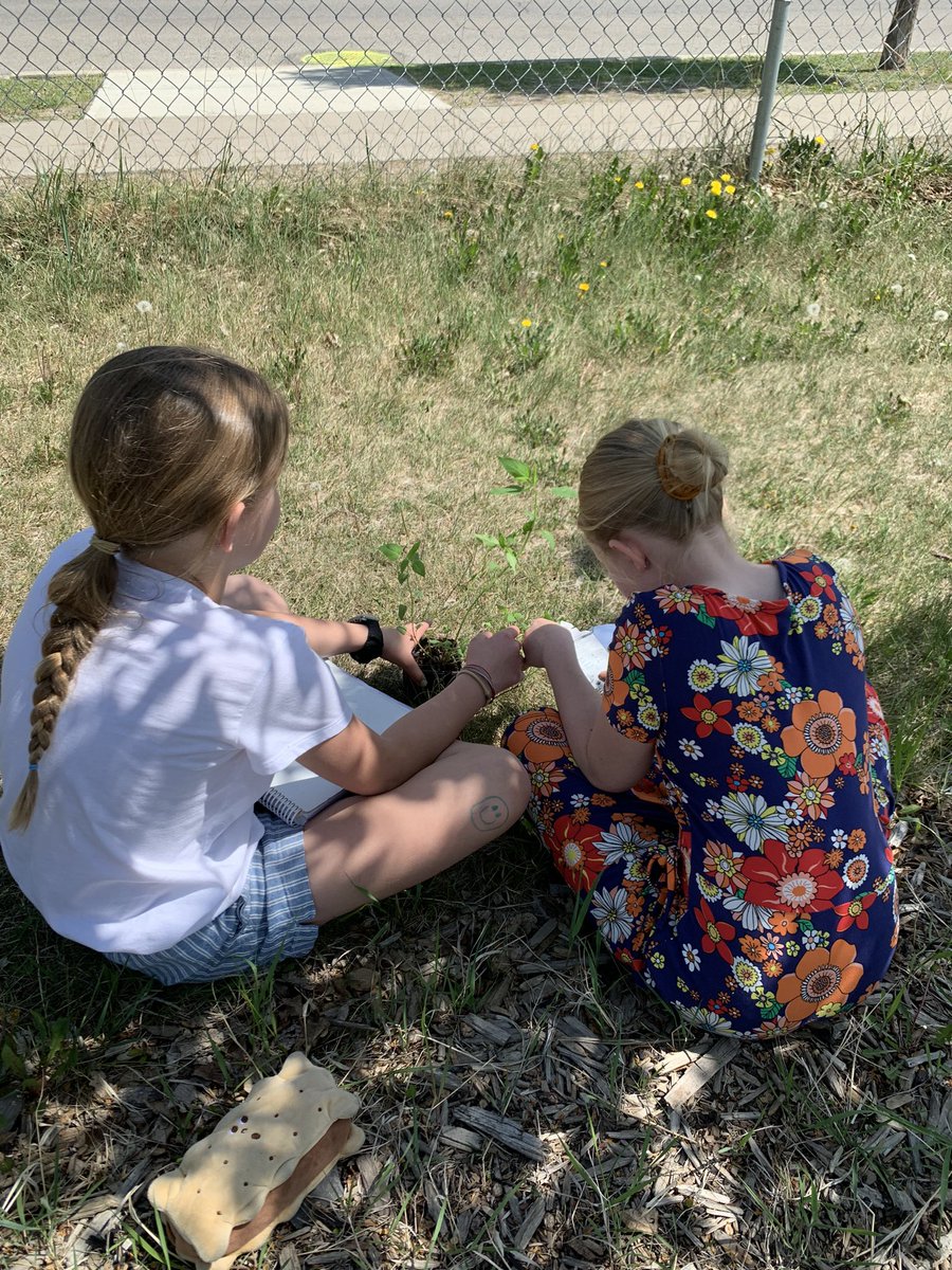 yomo65's tweet photo. Exploring and observing our new pollinator plants! Thank you #cwfwildspaces https://t.co/978NGKaGc6