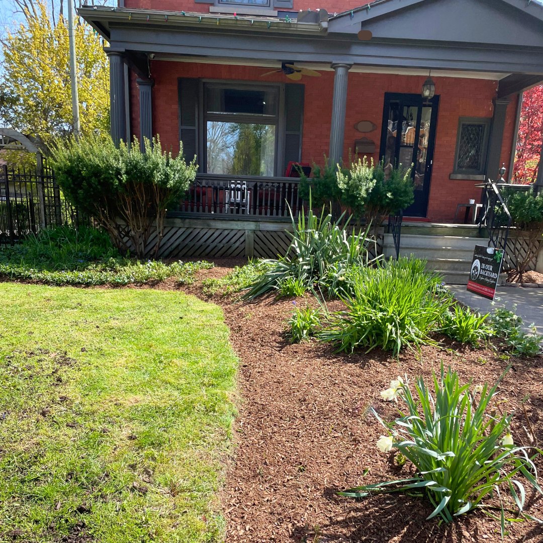 In Our Backyard | Garden & Yard Services tweet media