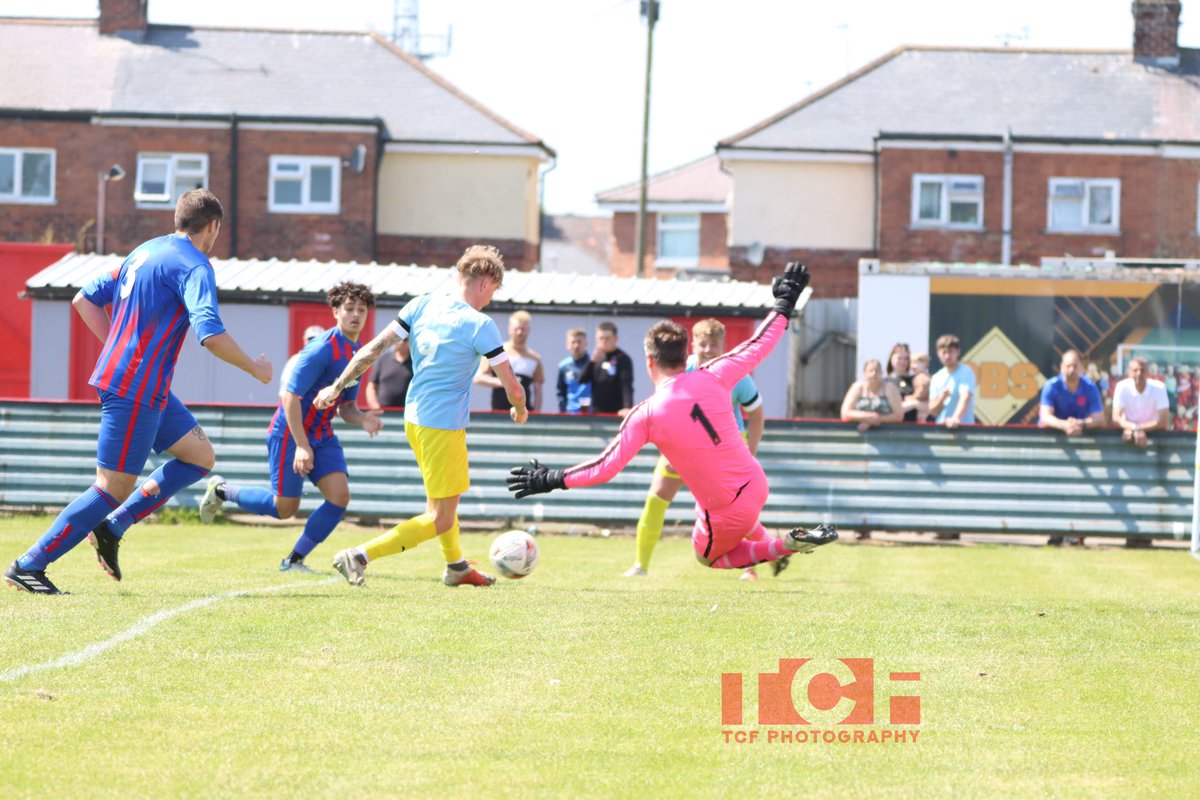 TCF Photography tweet media